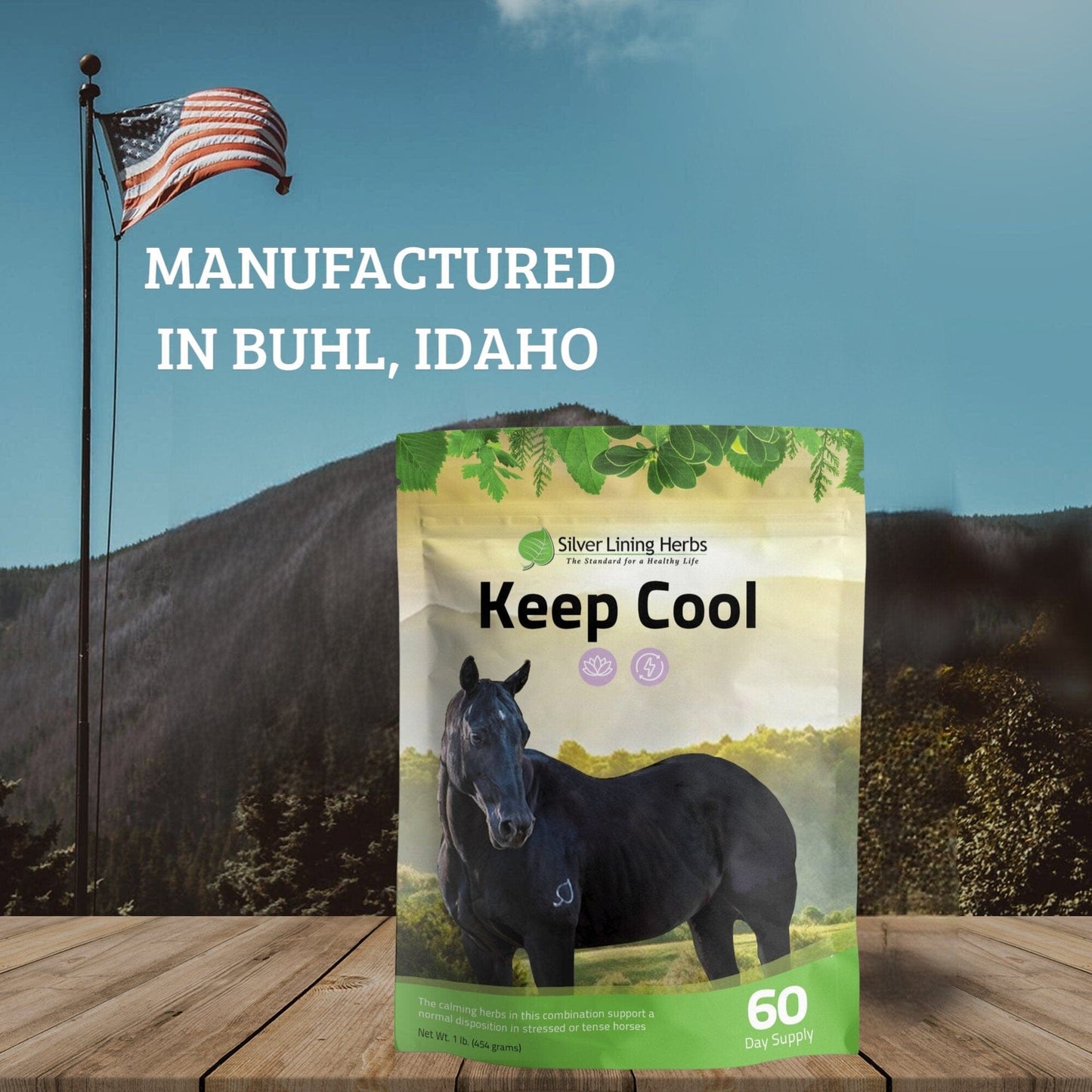 Silver Lining Herbs Keep Cool for Horses