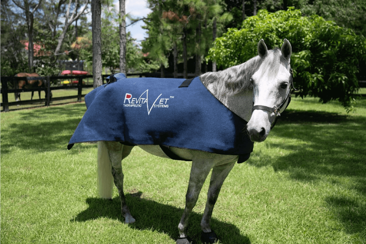 RevitaVet Infrared Blanket