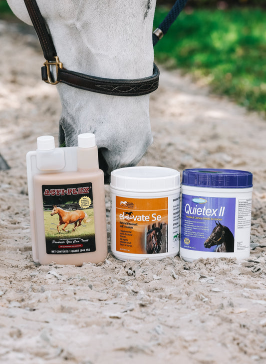 Joint Supplements 101