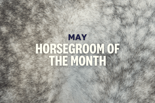 HorseGroom of the Month Lexie Priest