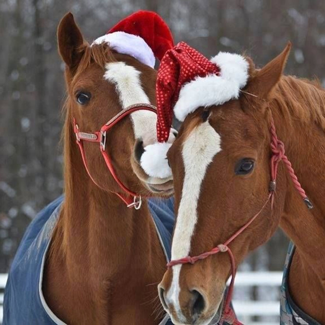 Corro's Holiday Gift Guides—Find the Perfect Gifts for All the Horses and People on Your List