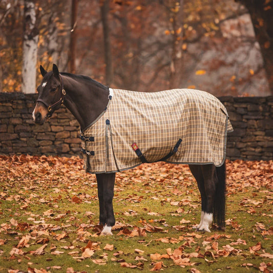 Fall Blanketing: Is Your Horse Ready for Cooler Weather?