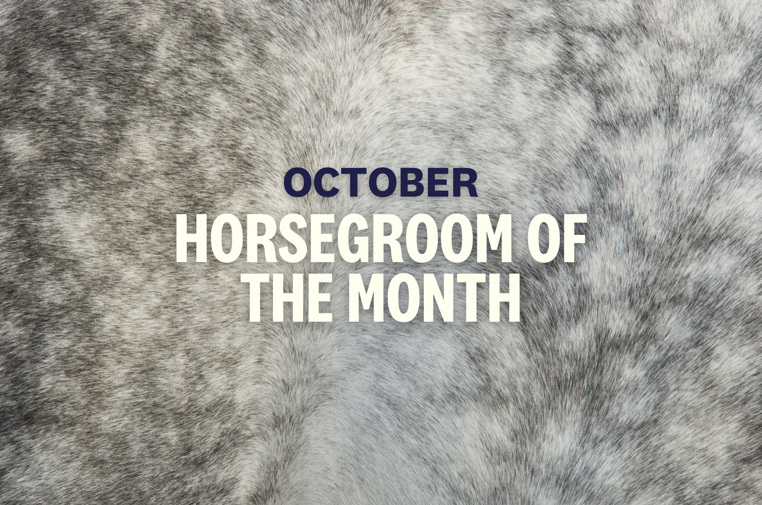 October HorseGroom