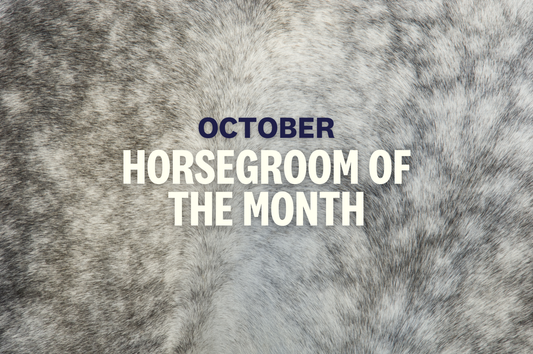 October HorseGroom