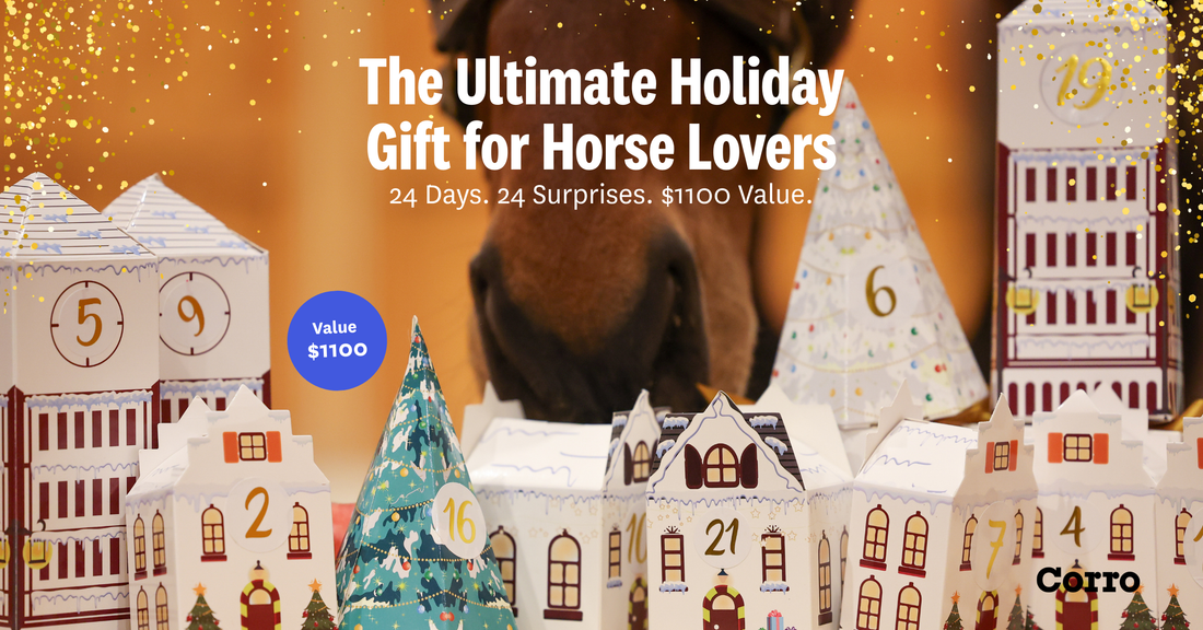 Top Secret - 2025 Advent Calendar Sneak Peek