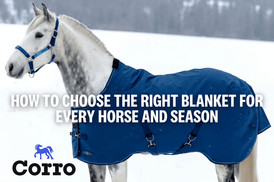 Horse Blanketing Guide