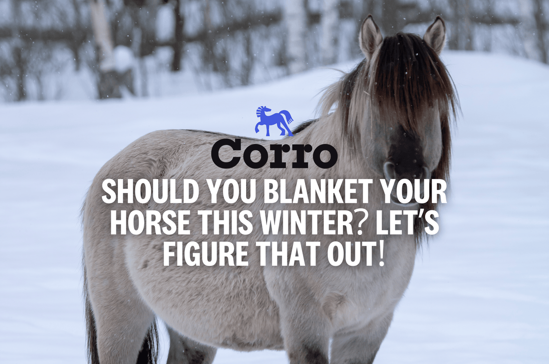 When to Blanket your Horse