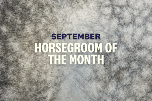September HorseGroom