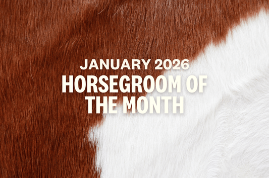 An Interview with Kati Gentilozzi