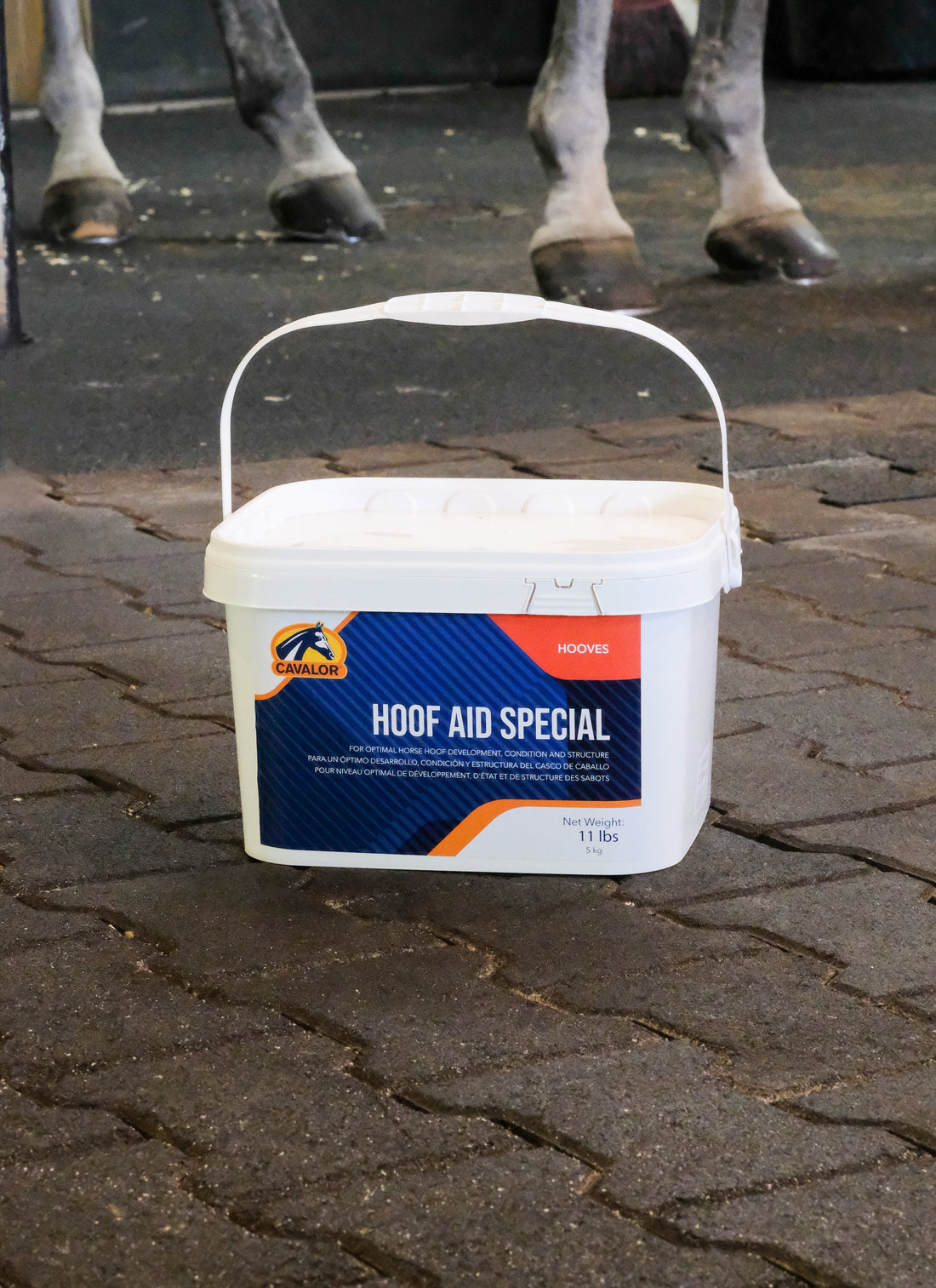 Hoof Supplements 101