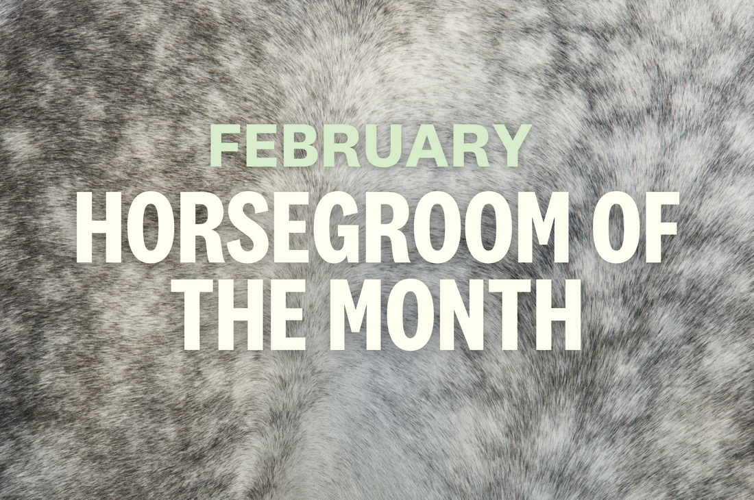 February HorseGroom of the Month