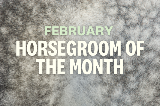 February HorseGroom of the Month