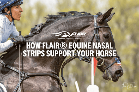 Breathe Better, Perform Better: How FLAIR® Equine Nasal Strips Support Your Horse from Warm-Up to Cool-Down