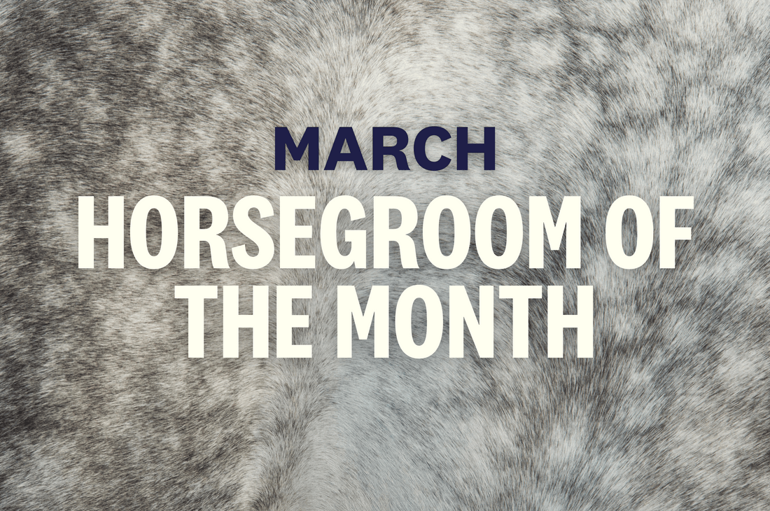March HorseGroom of the Month