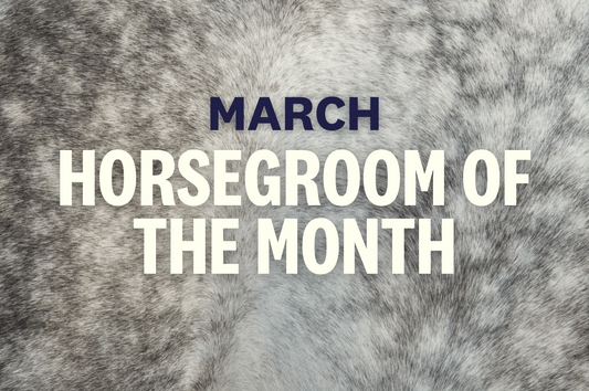 March HorseGroom of the Month
