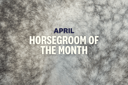 An interview with an FEI groom shaping the next generation of horsemanship: Jenni Giannini