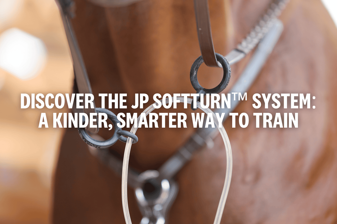 Discover the Zentora SofTTurn™ System: A Kinder, Smarter Way to Train