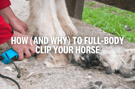 Clipping Your Horse 101