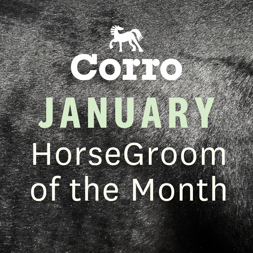 The Corro HorseGroom January Spotlight
