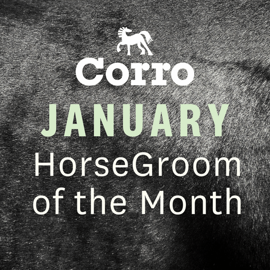 The Corro HorseGroom January Spotlight