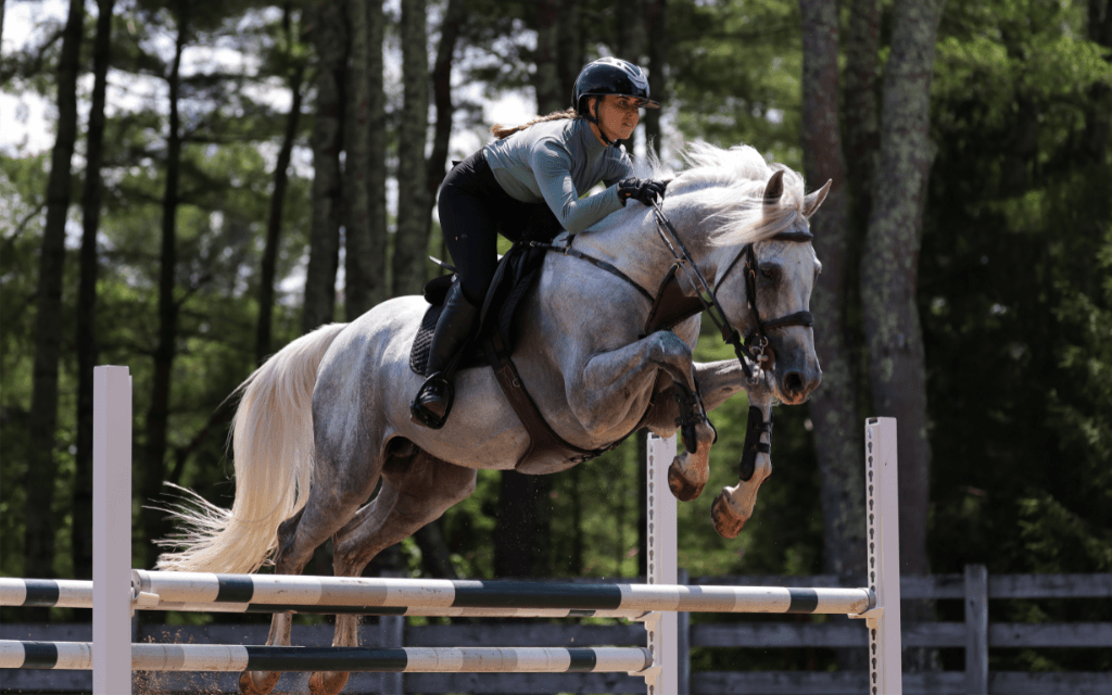 Heat Stress in Horses: How to Spot It, Prevent It, and Cool Your Horse Safely