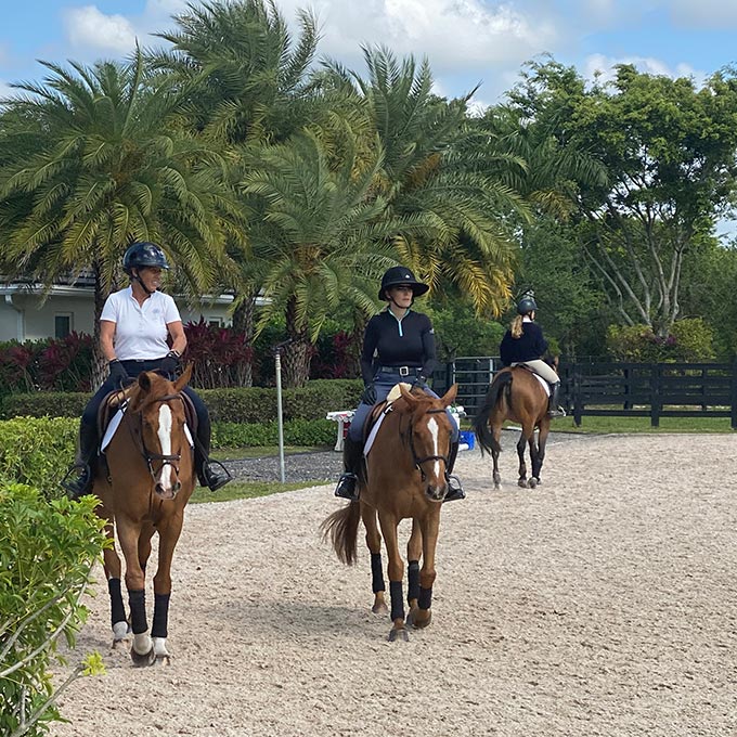 #CorroCares: Caring For Yourself and Your Horse During Quarantine - Corro