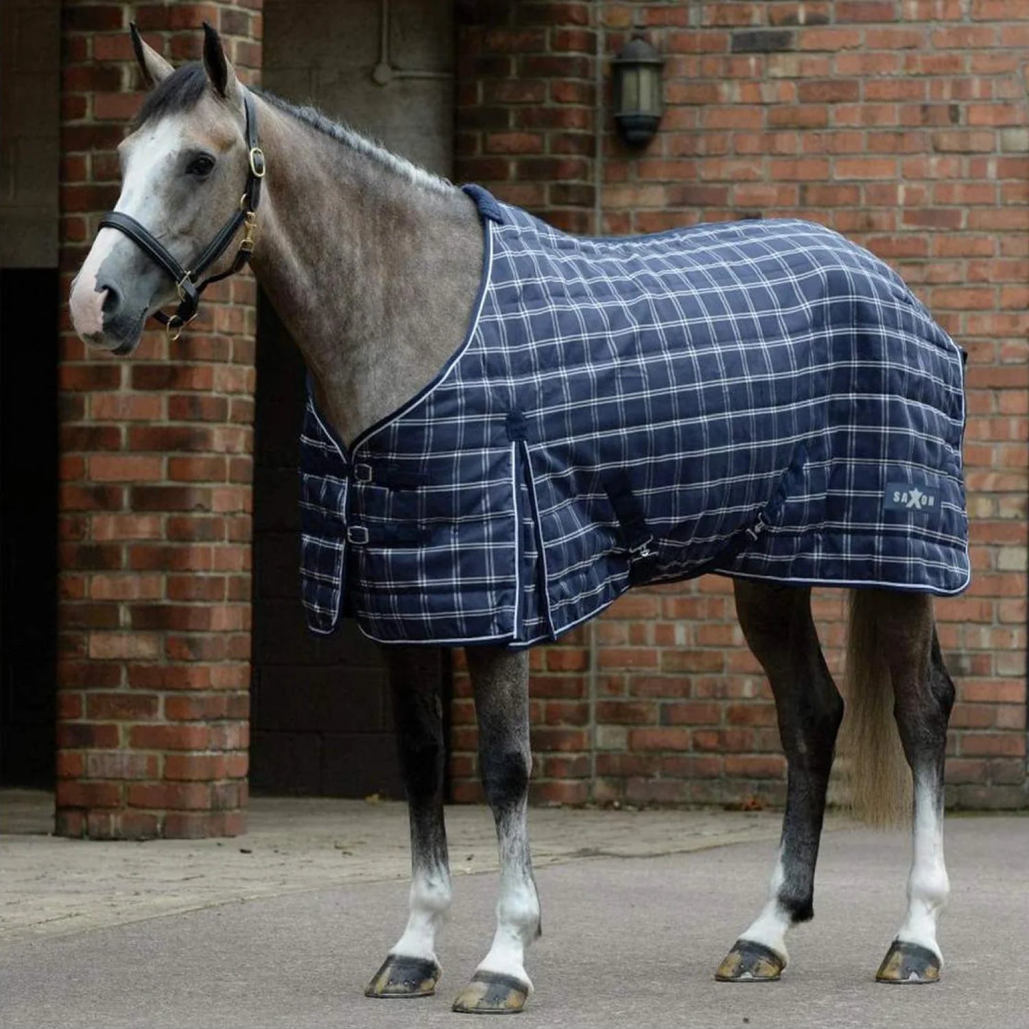 Corro's Ultimate Guide To Horse Blankets, Sheets, & Coolers—Your Questions Answered - Corro