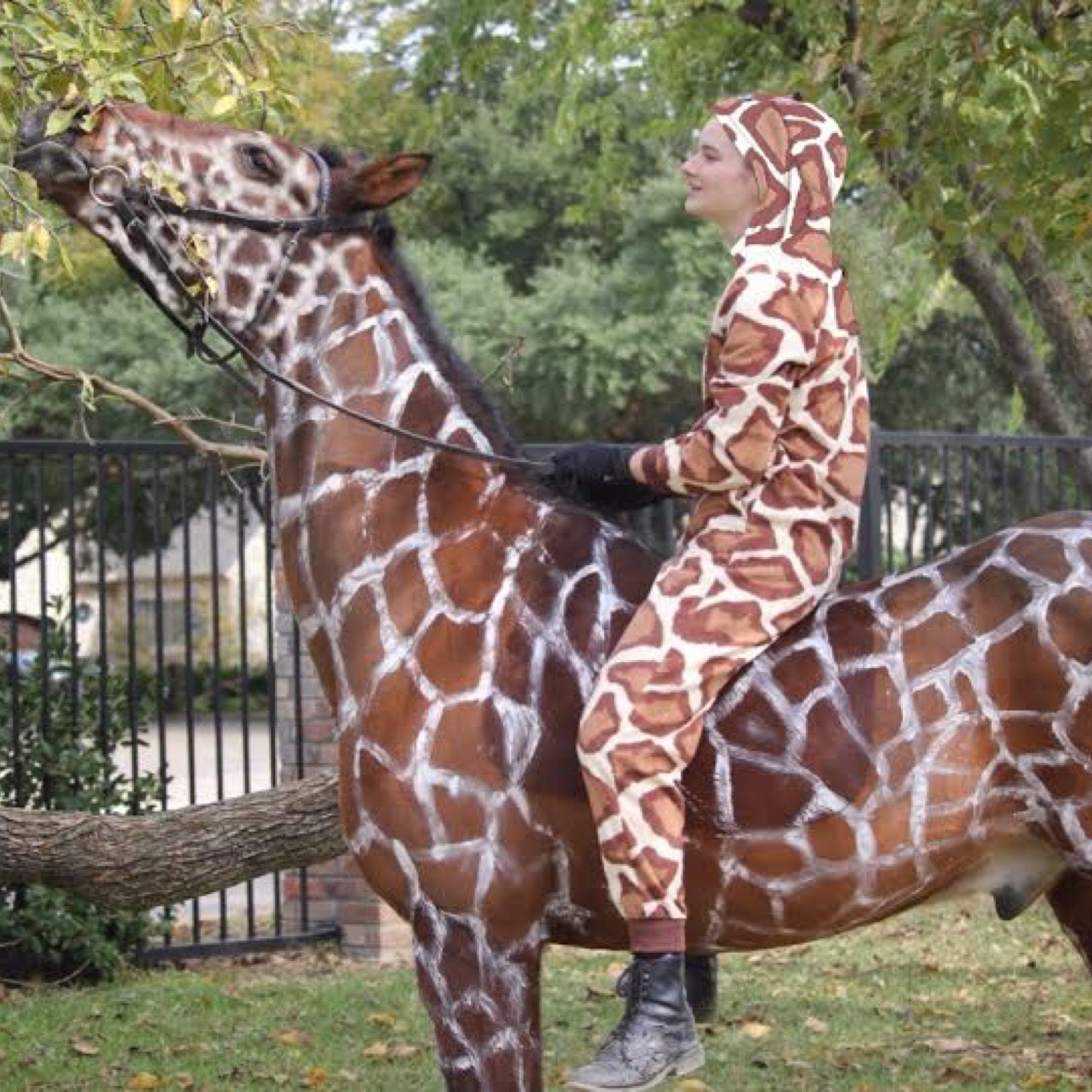 Halloween Is Near! Here Are Our Favorite Costume Ideas For You & Your Horse - Corro