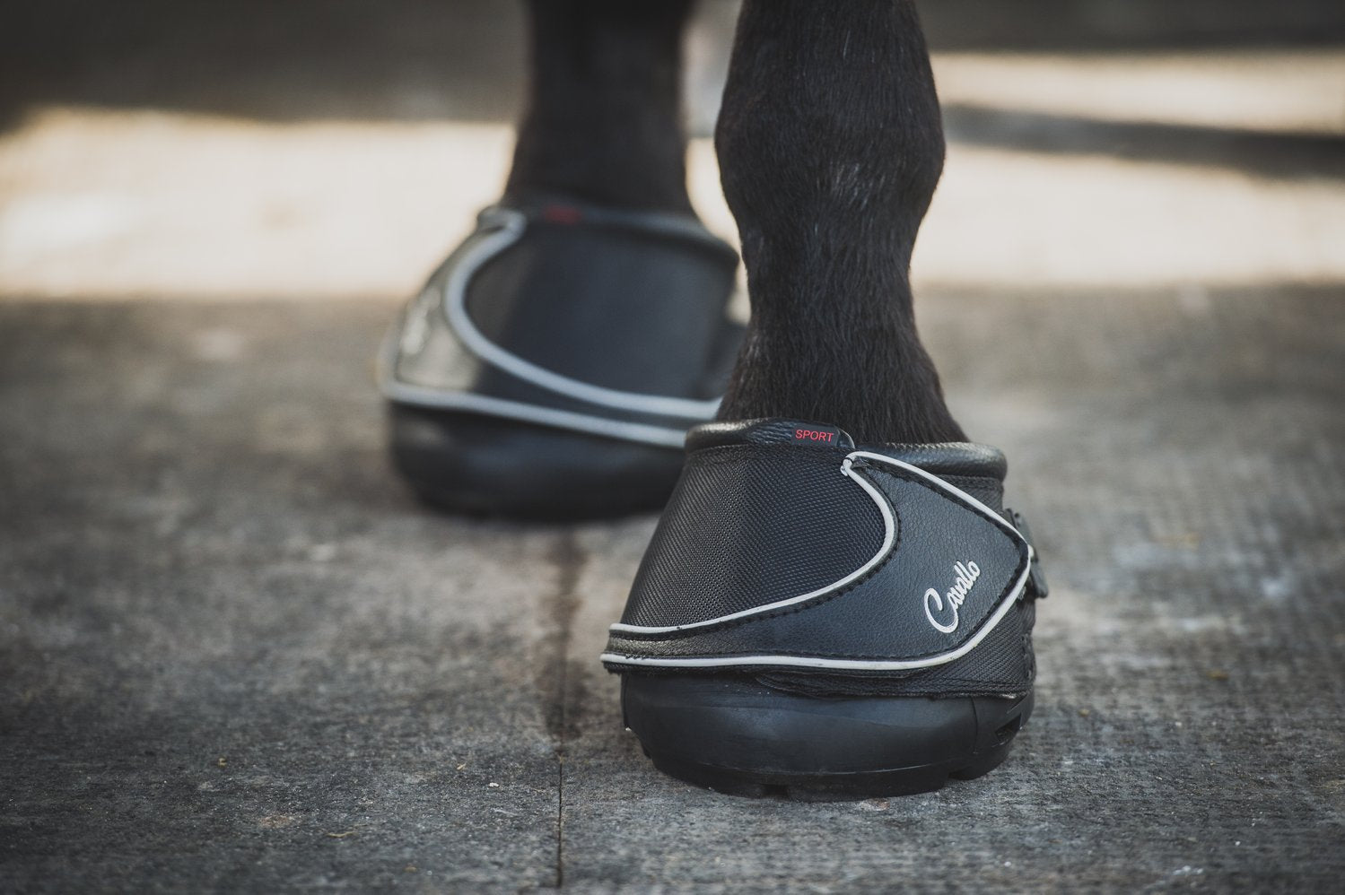 How to Measure Your Horse for Hoof Boots - Corro