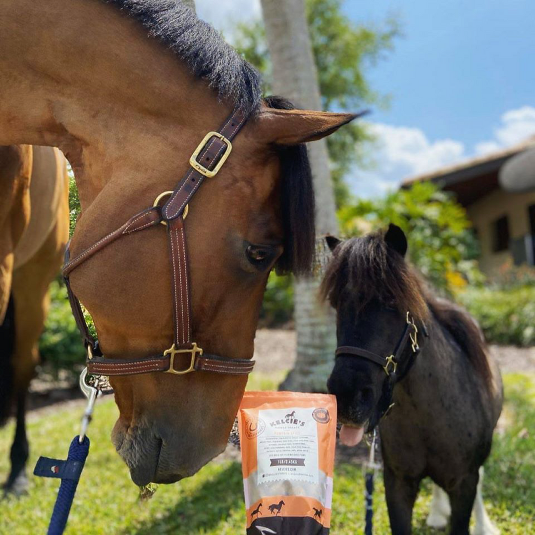 Meet Your Horse’s New Favorite Horse Treat – Kelcie’s Horse Treats Are Bringing Both Insights & New Ingredients To The Horse Cookie Game
