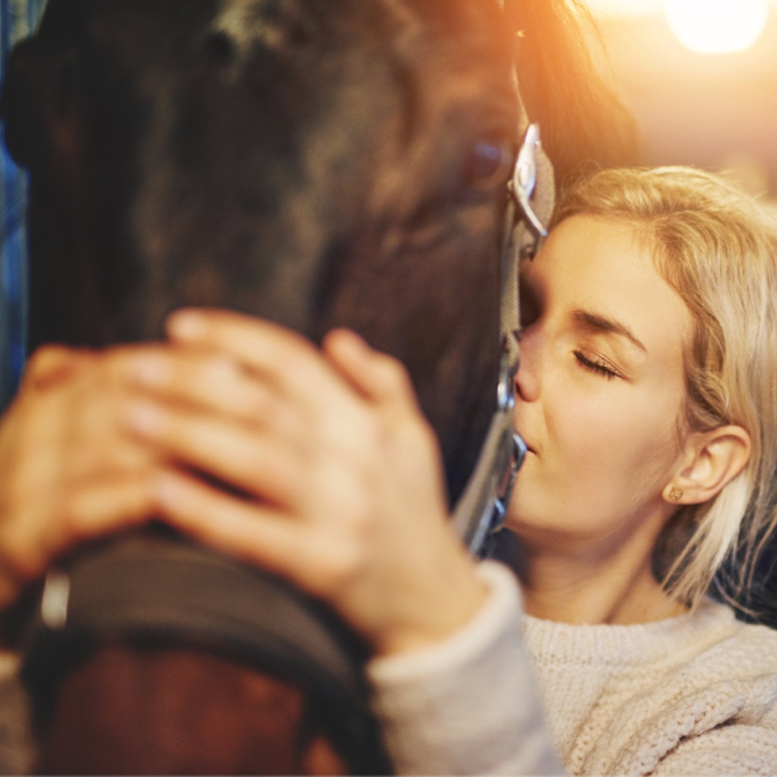 Looking to Return to Horseback Riding? Five Steps to Get You Back in the Saddle - Corro