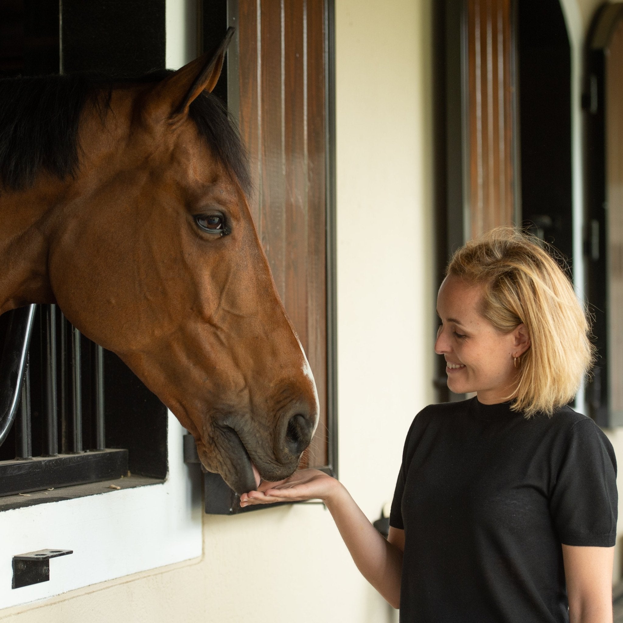 Remembering Your Why: Making Your Passion For Horses Sustainable with Annette Paterakis - Corro