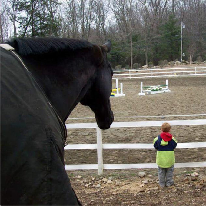 #CorroCares Spotlight: <br />Rising Starr Horse Rescue