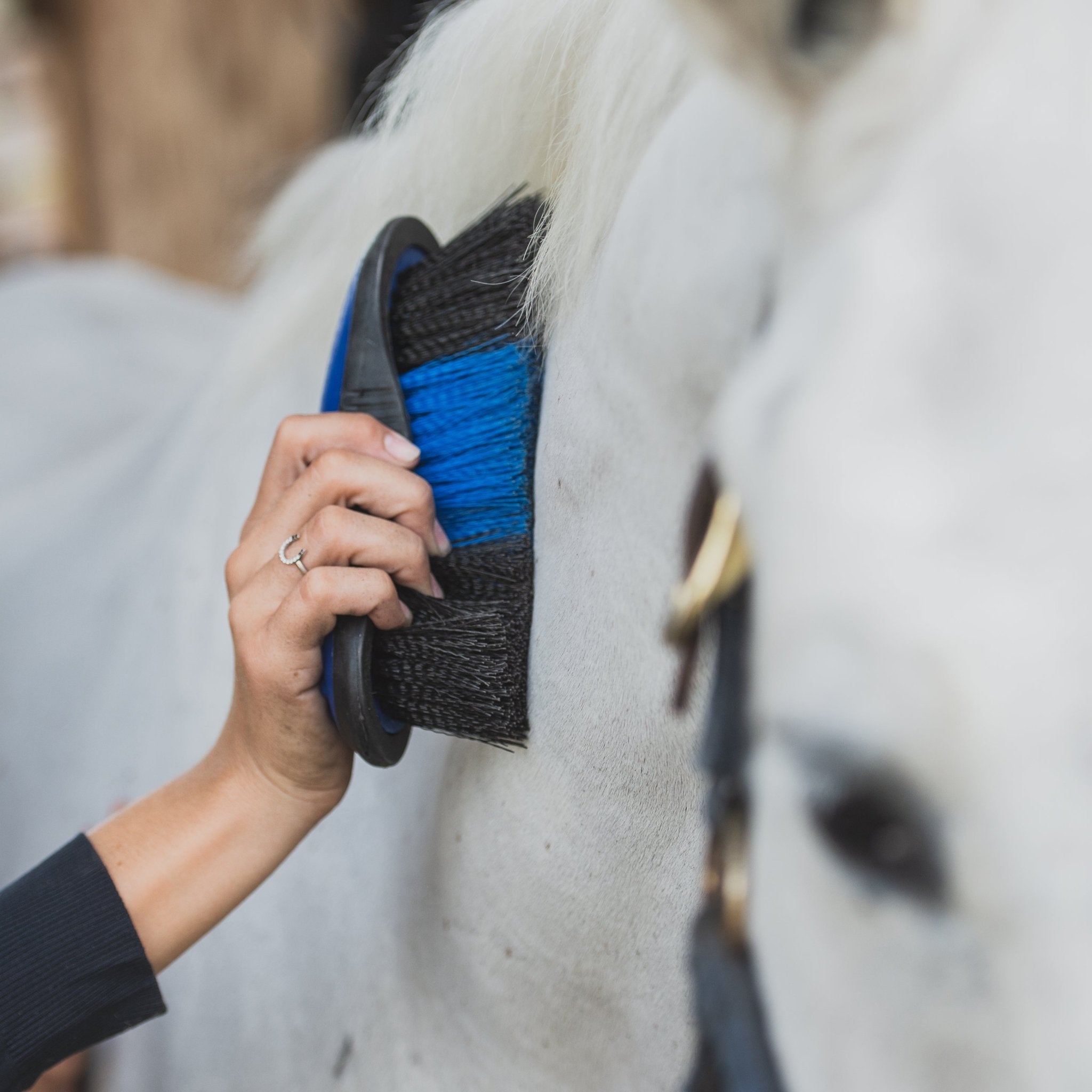 The PonyApp Presents: Sparkle & Shine - Your Guide To Grooming Like A Pro - Corro