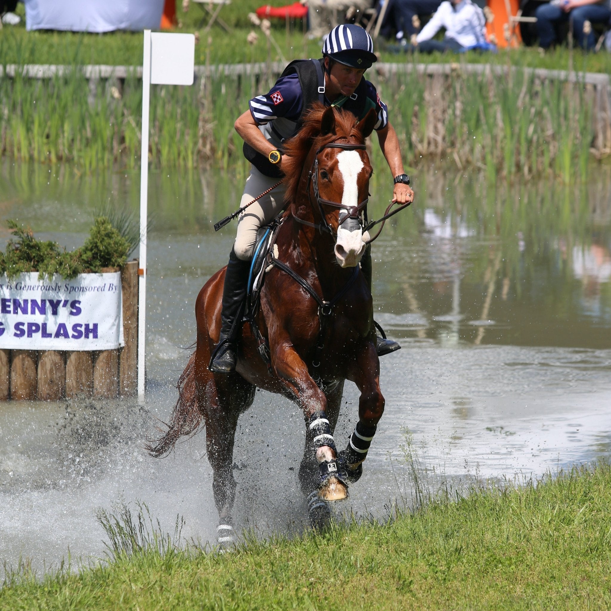 Water Training: Boyd Martin Eventing Builds Pond for Therapy and Conditioning - Corro