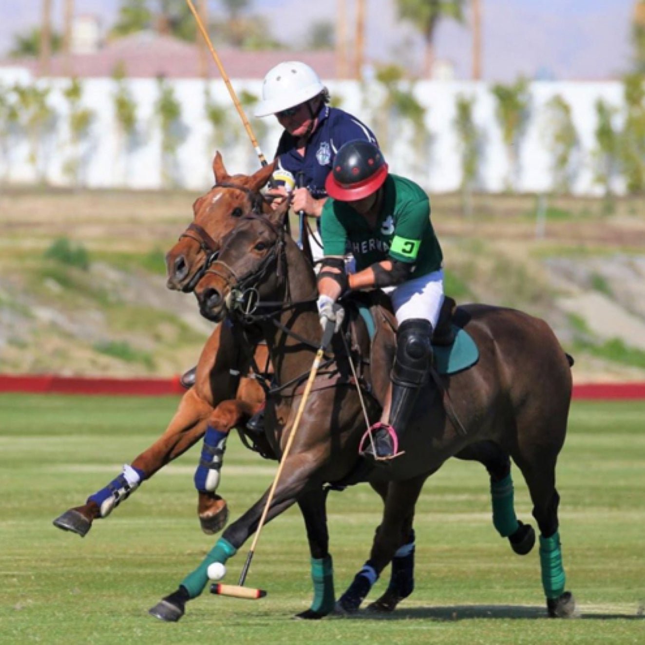 What It Takes to Be a Professional Polo Player with Jared Sheldon - Corro