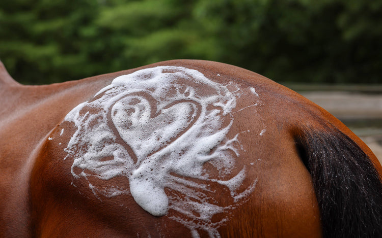 Valentines Day Gifts for your Horse