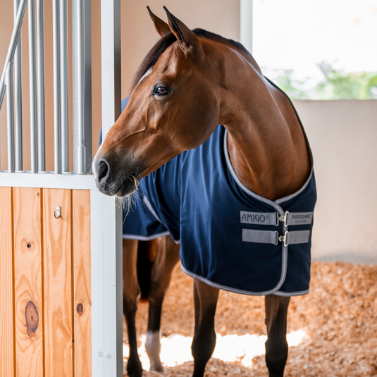 Light Stable Blankets & Sheets