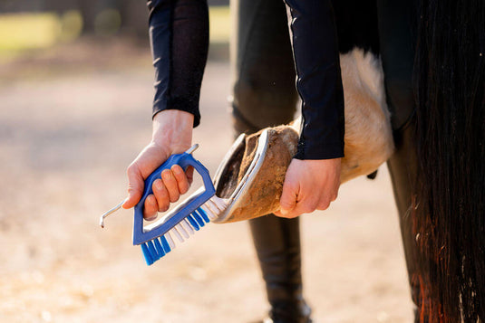 Brushes and Hoof Picks