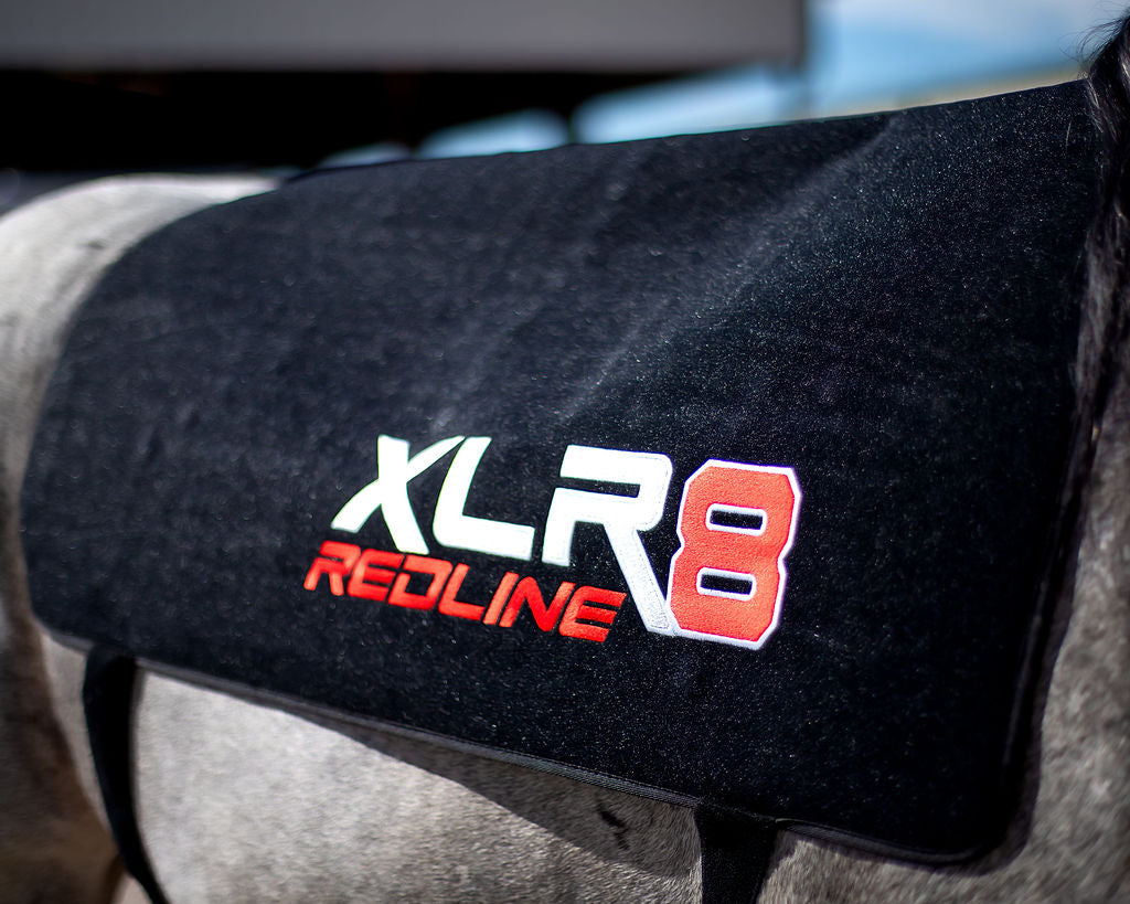 XLR8 Equine