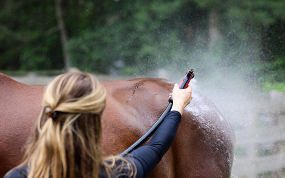 Bathing Essentials - Corro