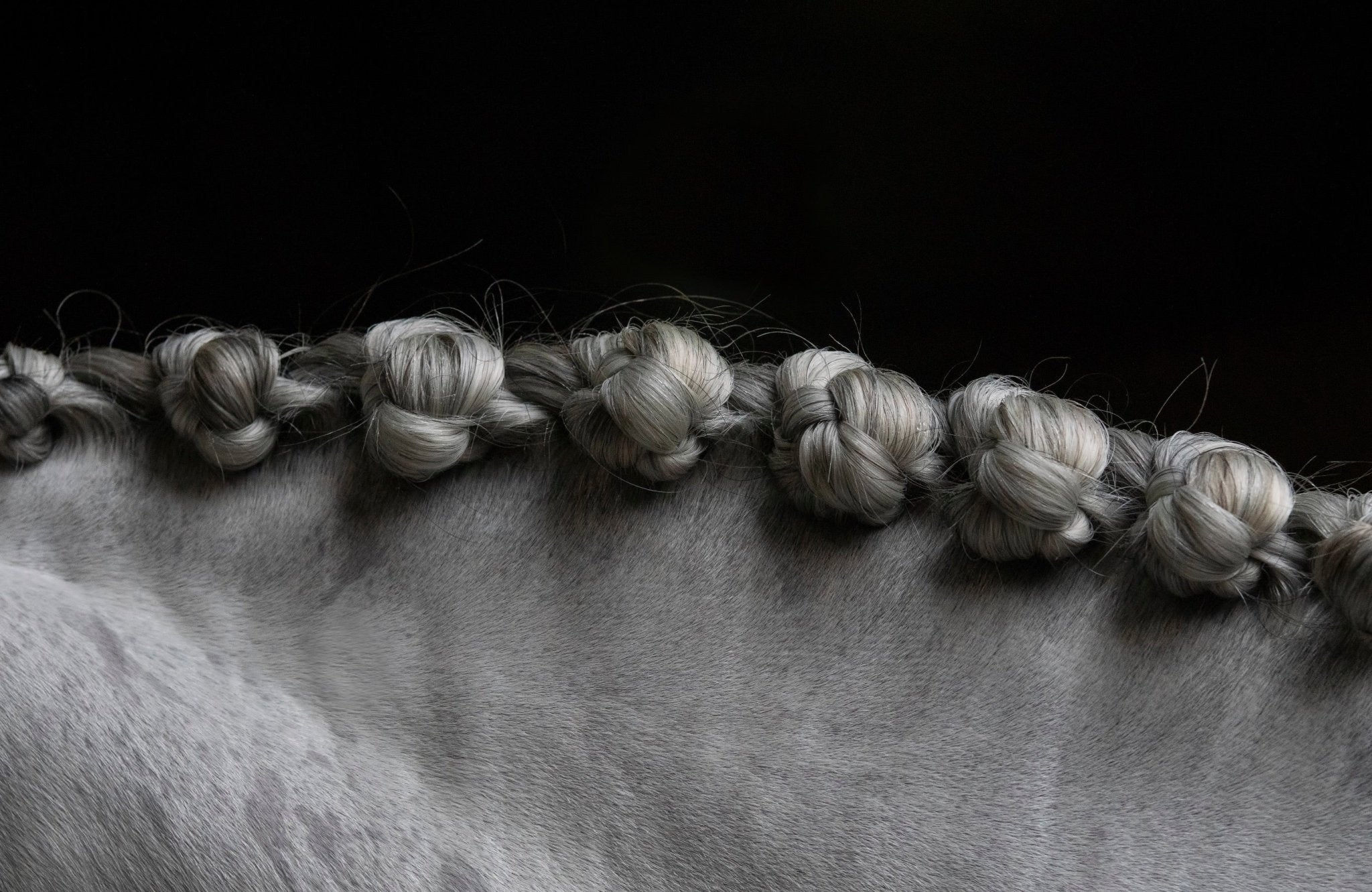 Braiding & Banding - Corro