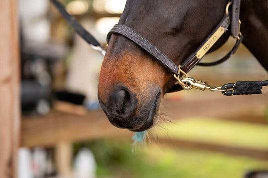 Respiratory & Allergy