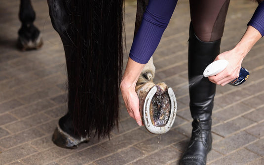 First Aid & Topicals - Corro