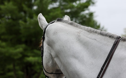 Weight Gain & Muscle Supplements