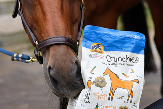 Gift Guide for the Horse