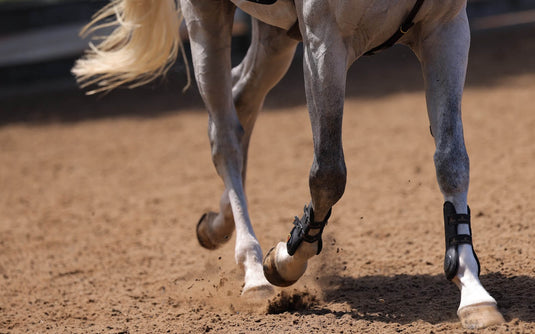 Inflammation & Pain Relief - Corro