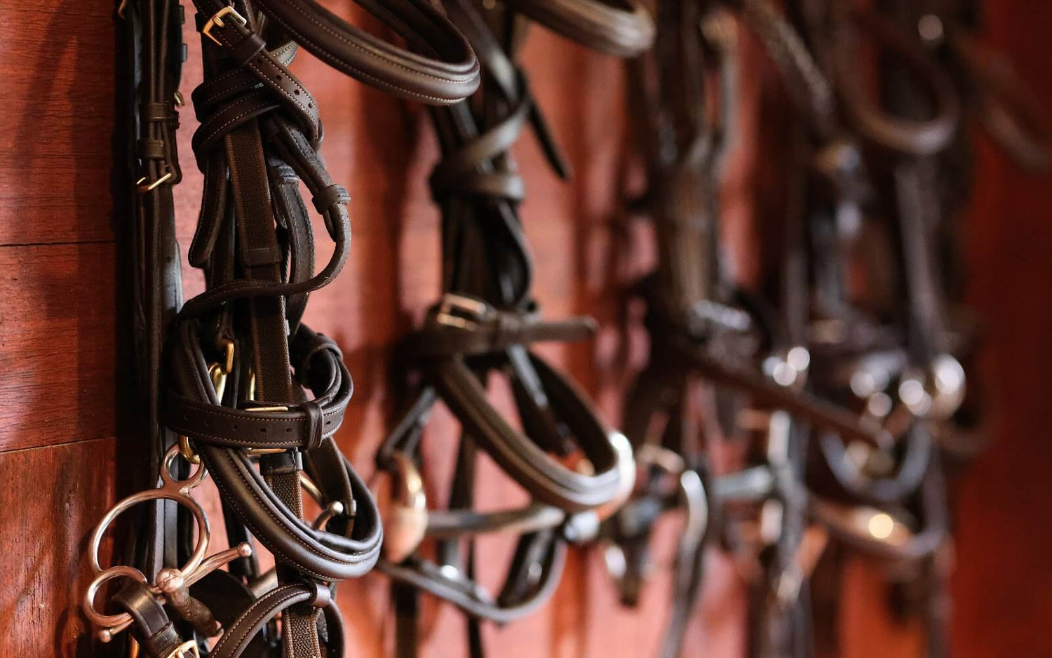 Barn Organization Racks, Hooks &amp; Organizers