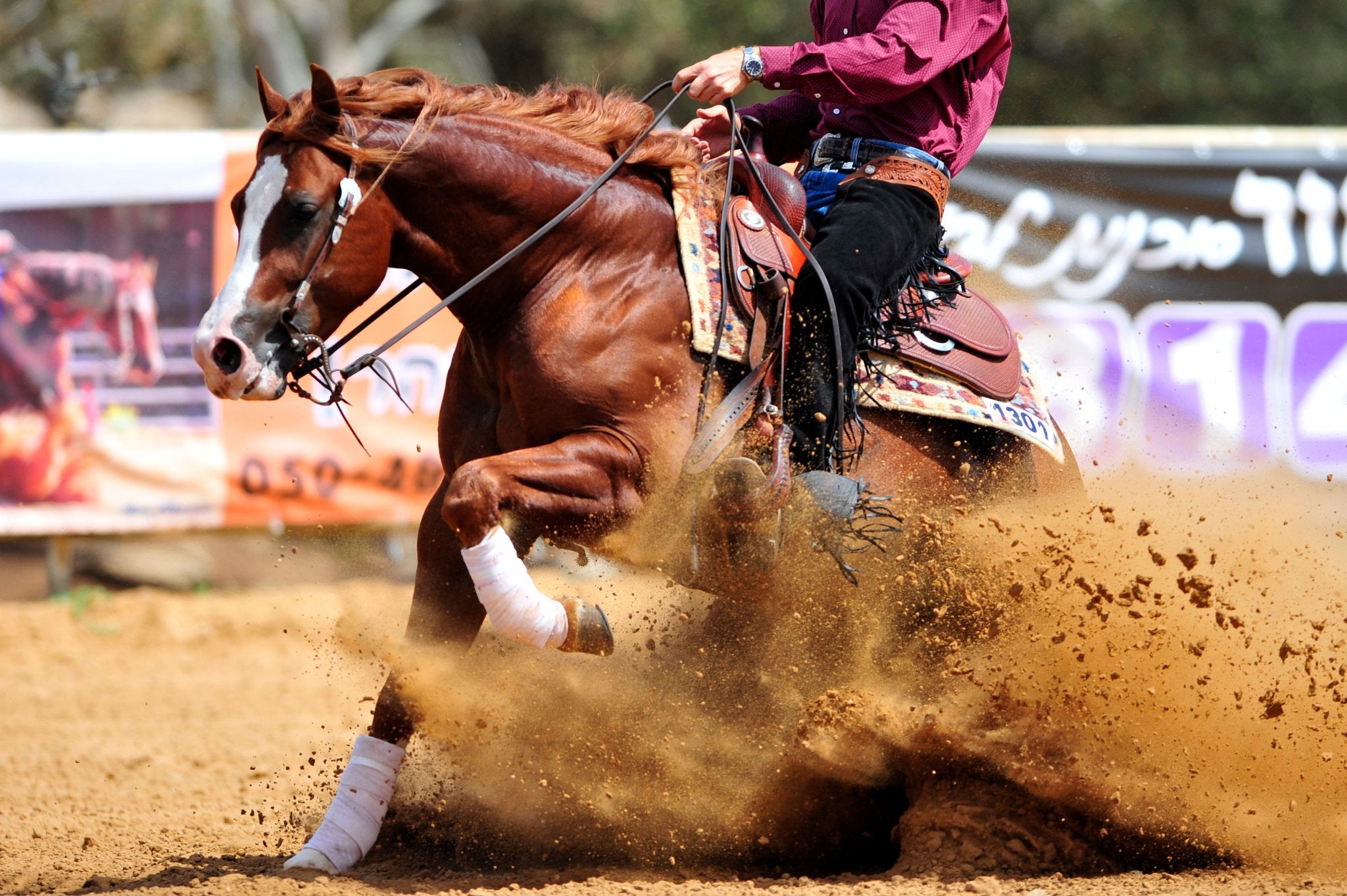 Show Season Essentials - Corro