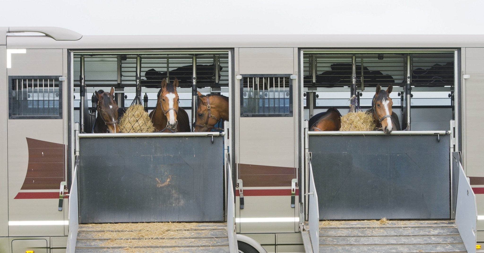 Trailer Essentials - Corro